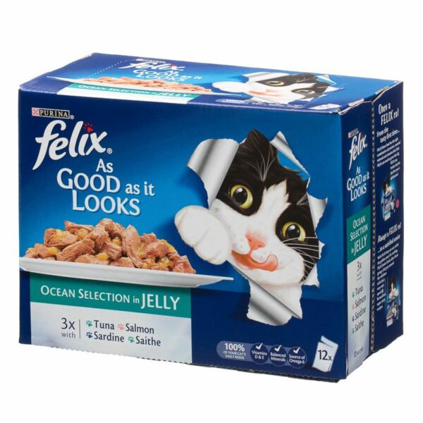 cat food box